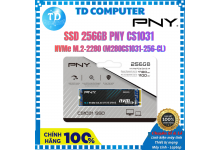 Ổ cứng SSD 256GB PNY CS1031 NVMe M.2-2280 (M280CS1031-256-CL) - Hàng chính hãng